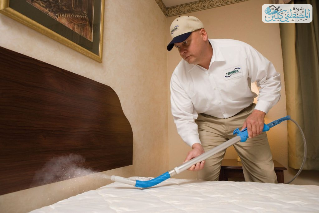 شركة مكافحة بق الفراش بالدمام والخبر والقطيف والظهران | شركة المصطفي كلين