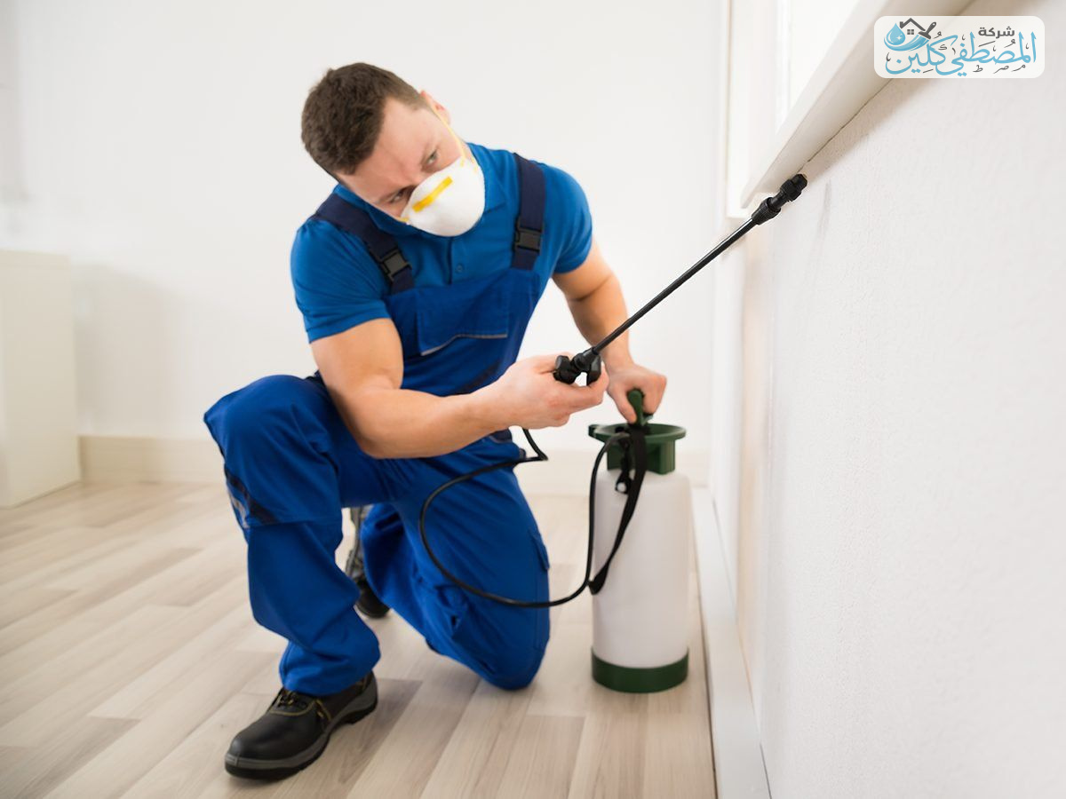 شركة مكافحة النمل الابيض بالدمام والخبر والقطيف والظهران | شركة المصطفي كلين