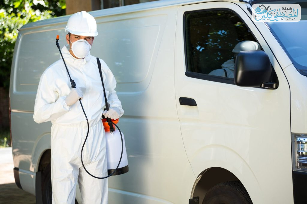 شركة مكافحة حشرات بالاحساء | شركة المصطفي كلين