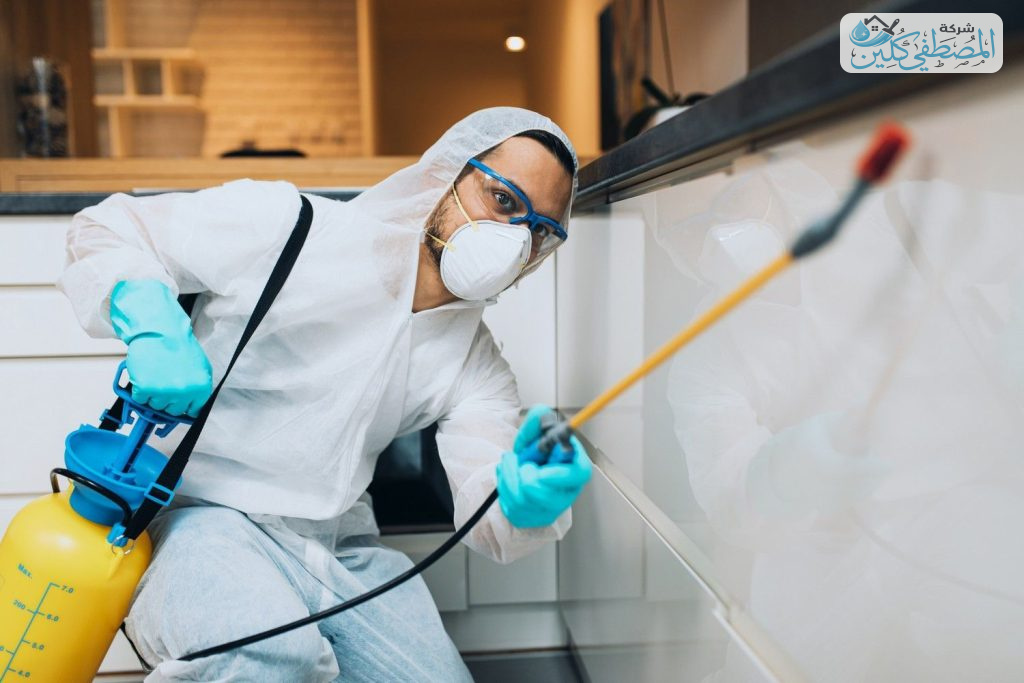 شركة مكافحة حشرات بالاحساء