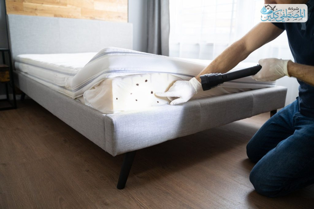 شركة مكافحة بق الفراش بالدمام والخبر والقطيف والظهران | شركة المصطفي كلين