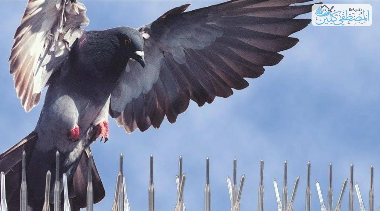 شركة تركيب شبك حمام بالدمام والخبر والقطيف والظهران