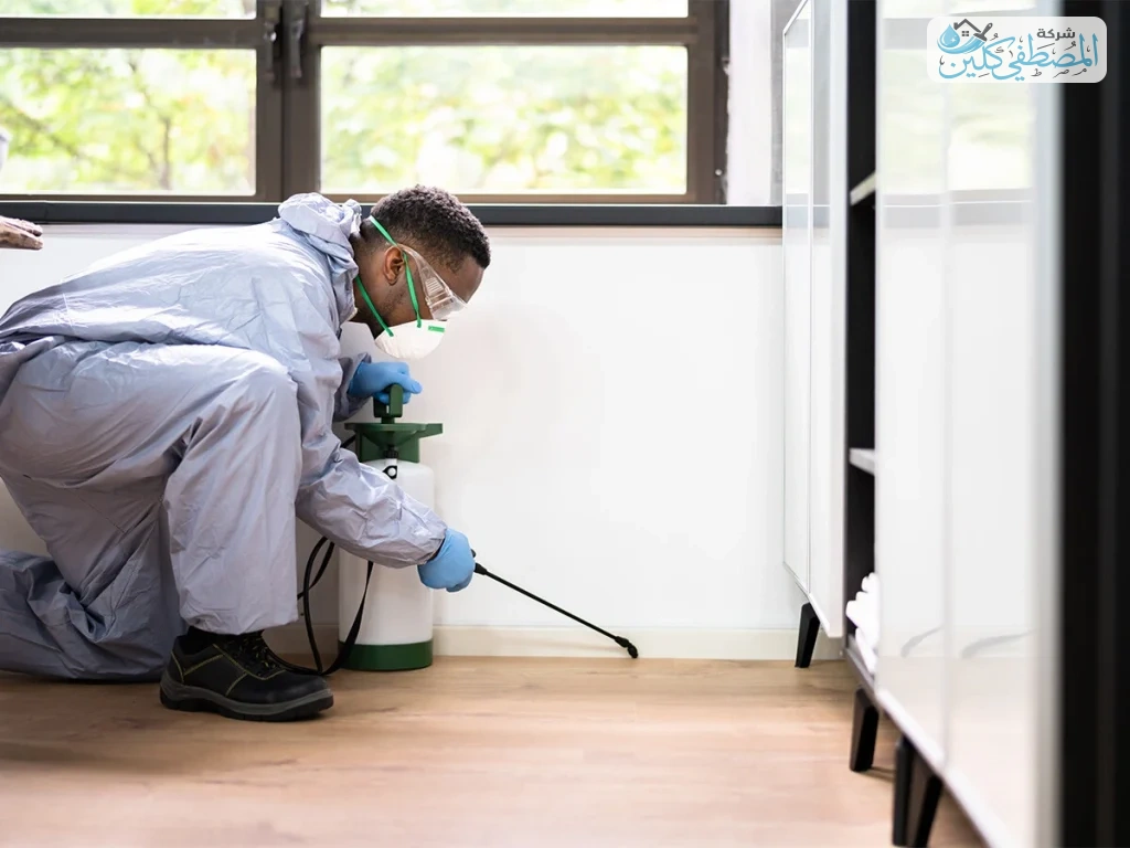 شركة مكافحة حشرات بالجبيل | شركة المصطفي كلين
