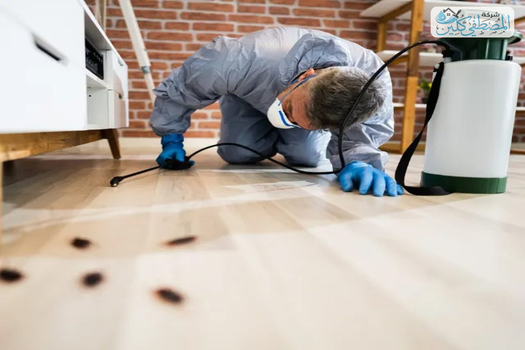 شركة مكافحة حشرات بالدمام والخبر والقطيف والظهران