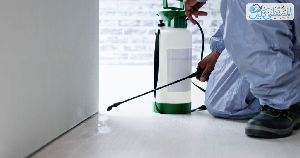 شركة مكافحة النمل الابيض بالدمام والخبر والقطيف والظهران | شركة المصطفي كلين