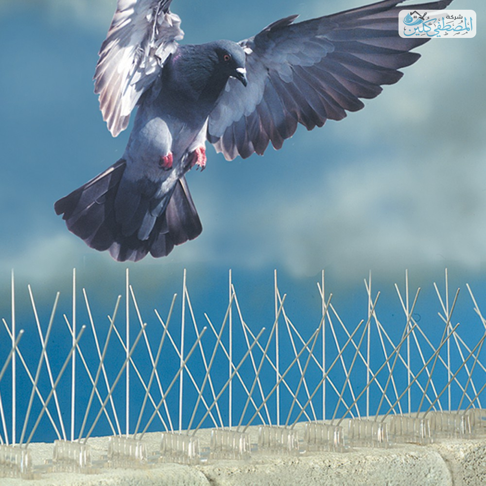 شركة تركيب شبك حمام بالدمام والخبر والقطيف والظهران | شركة المصطفي كلين