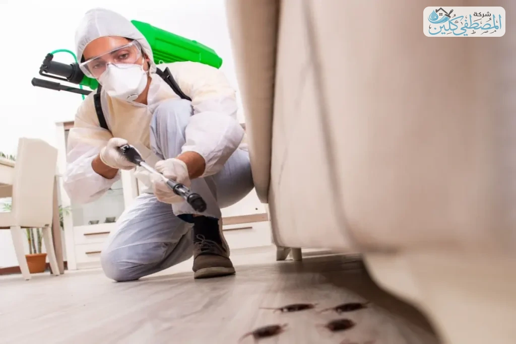 شركة مكافحة حشرات بالجبيل | شركة المصطفي كلين