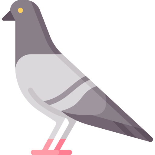 خدمات العزل