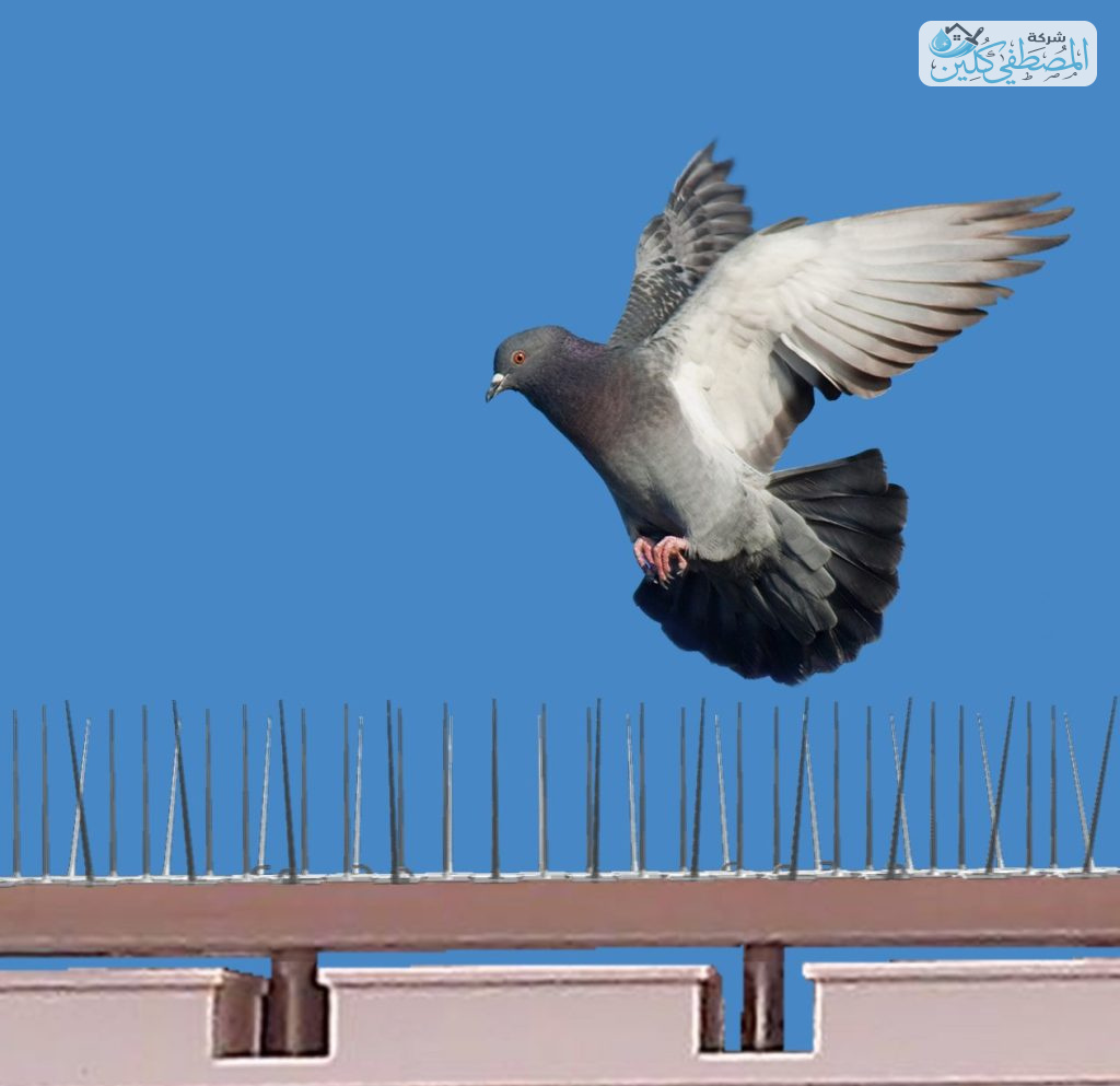 شركة تركيب شبك حمام بالدمام والخبر والقطيف والظهران | شركة المصطفي كلين