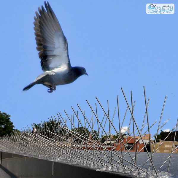 شركة تركيب شبك حمام بالدمام والخبر والقطيف والظهران | شركة المصطفي كلين